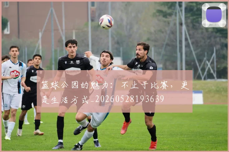 篮球公园的魅力：不止于比赛，更是生活方式_20260528193639