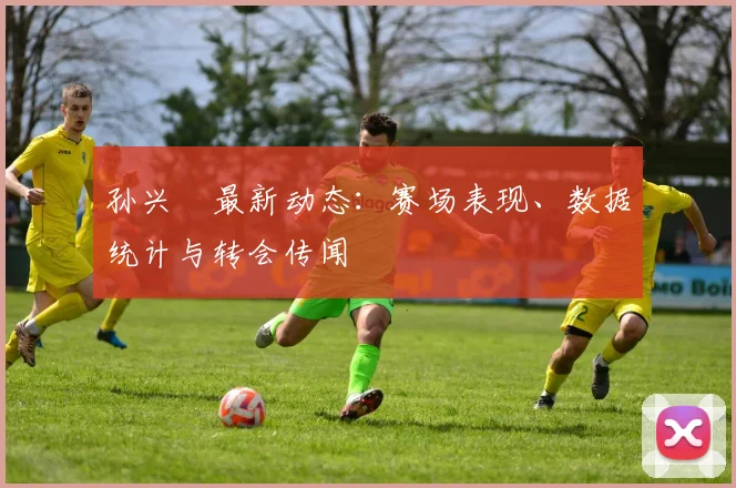 孙兴慜最新动态：赛场表现、数据统计与转会传闻
